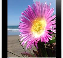 Tablet iPad 4