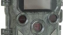 Fotopast