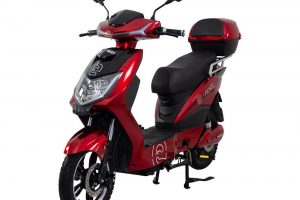 Racceway E-Fichtl elektroskutr